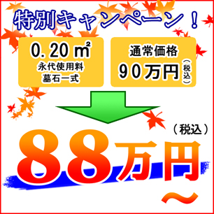 0.20uセット